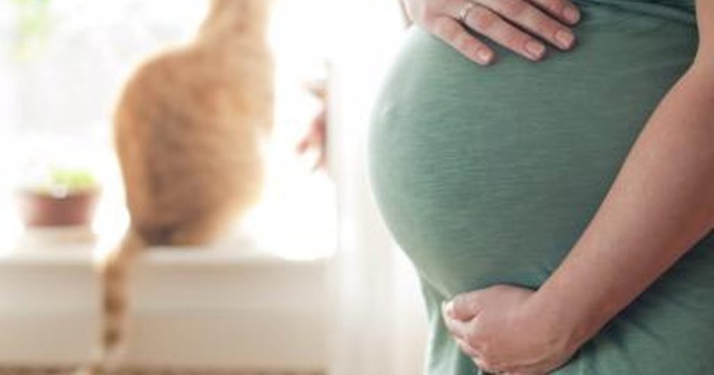 أعراض إرتفاع صديد البول عند الحامل