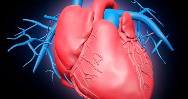إكتشاف حقنة جديدة لعلاج فشل القلب