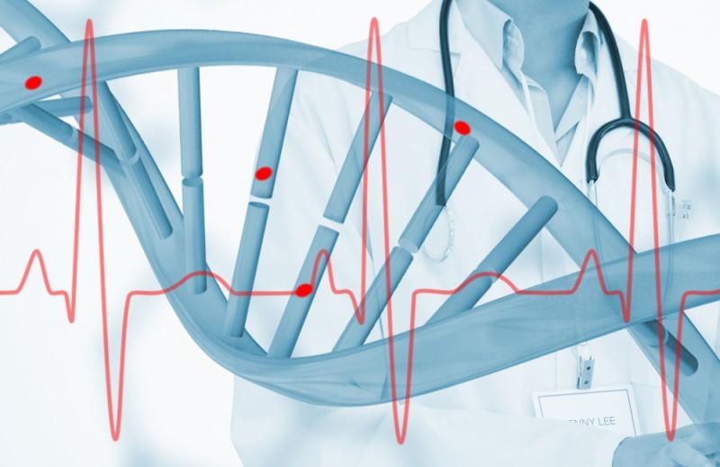 اكتشاف جينات مرتبطة بأمراض القلب