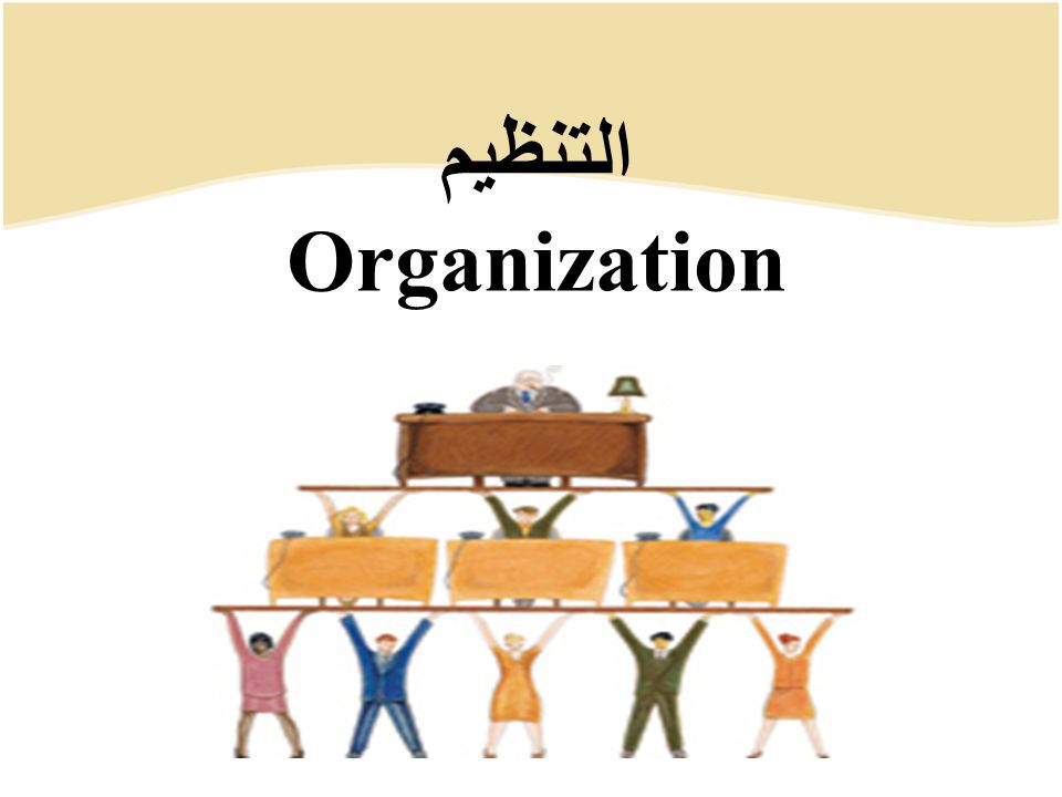التنظيم الإداري و عناصره