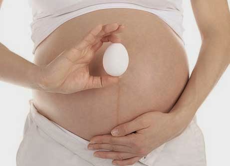 تناول البيض أثناء الحمل ،، هل يؤذي الجنين ؟