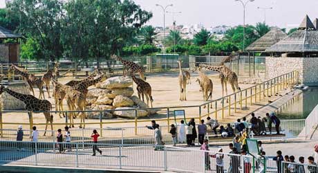 حديقة الحيوان في قطر