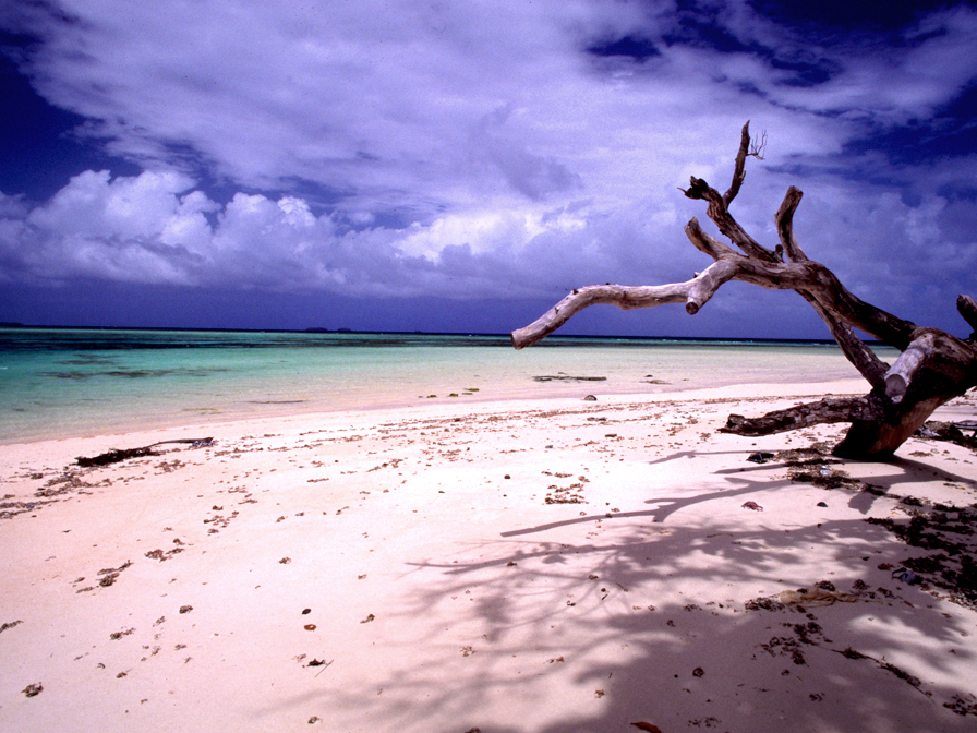 شاطئ لورا في جزر مارشال