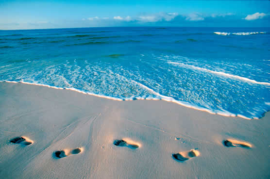 شواطئ فلوريدا الفريدة من نوعها