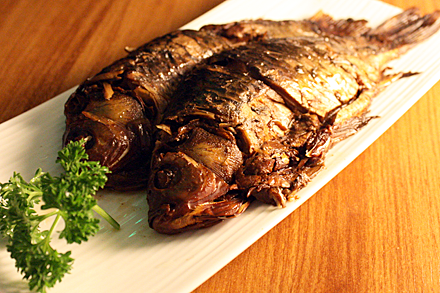 فوائد تناول سمك الشبوط “Carp”