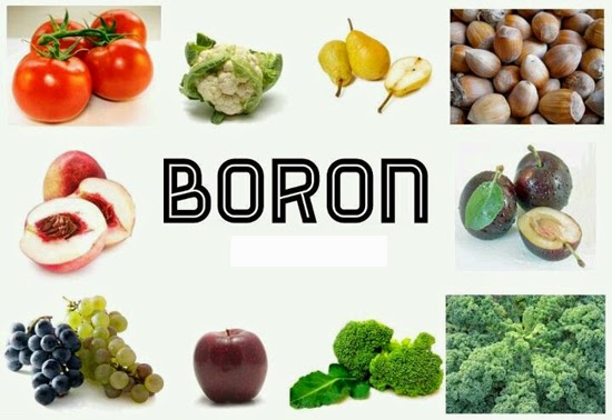 فوائد معدن البورون “Boron” على الصحة