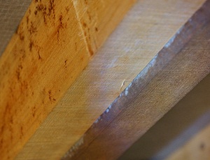كيف تتخلص من العفن على الخشب و تحافظ عليه