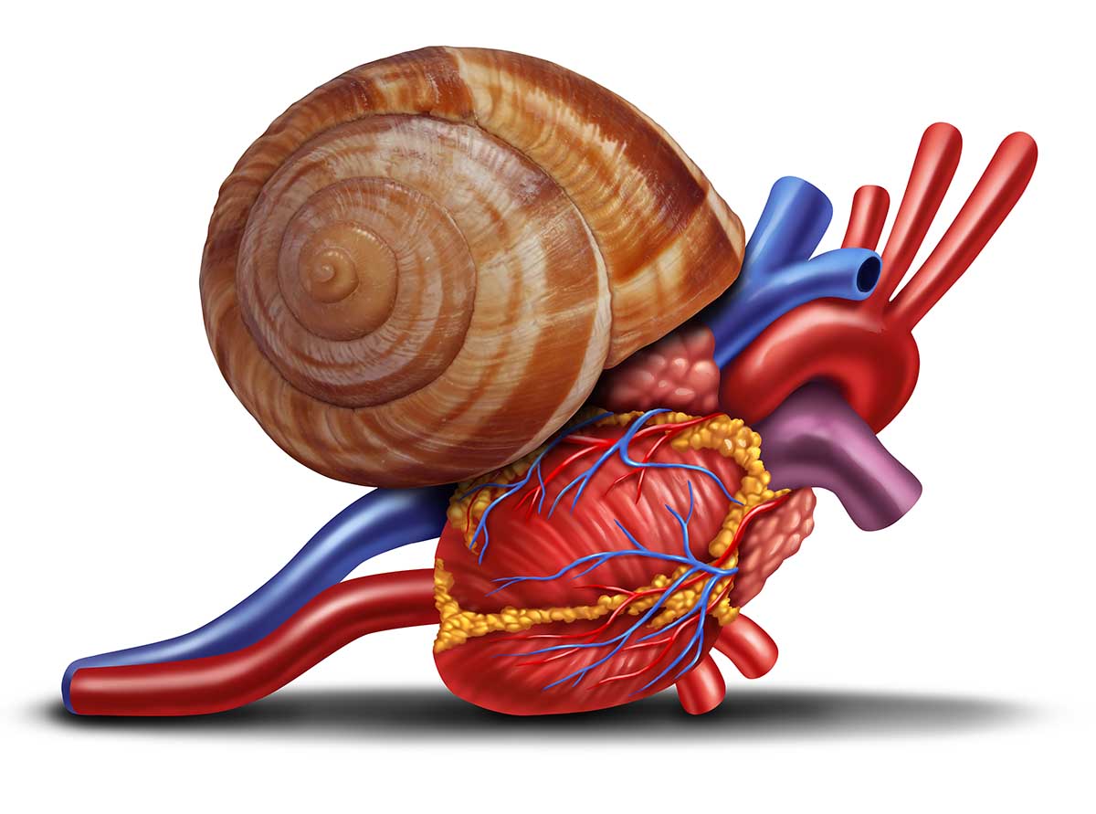 كيف تعرف أنك مصاب بكهرباء القلب ؟