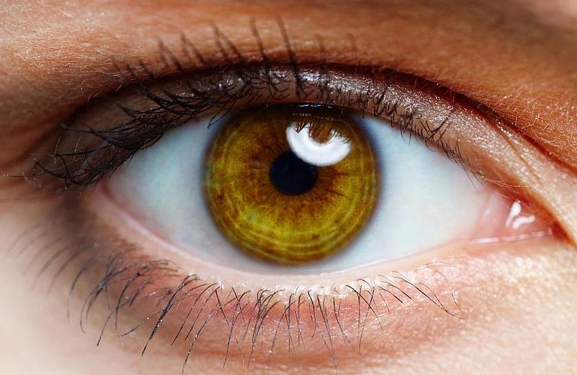 كيف يتم إكتشاف أمراض الكبد من خلال العين ؟