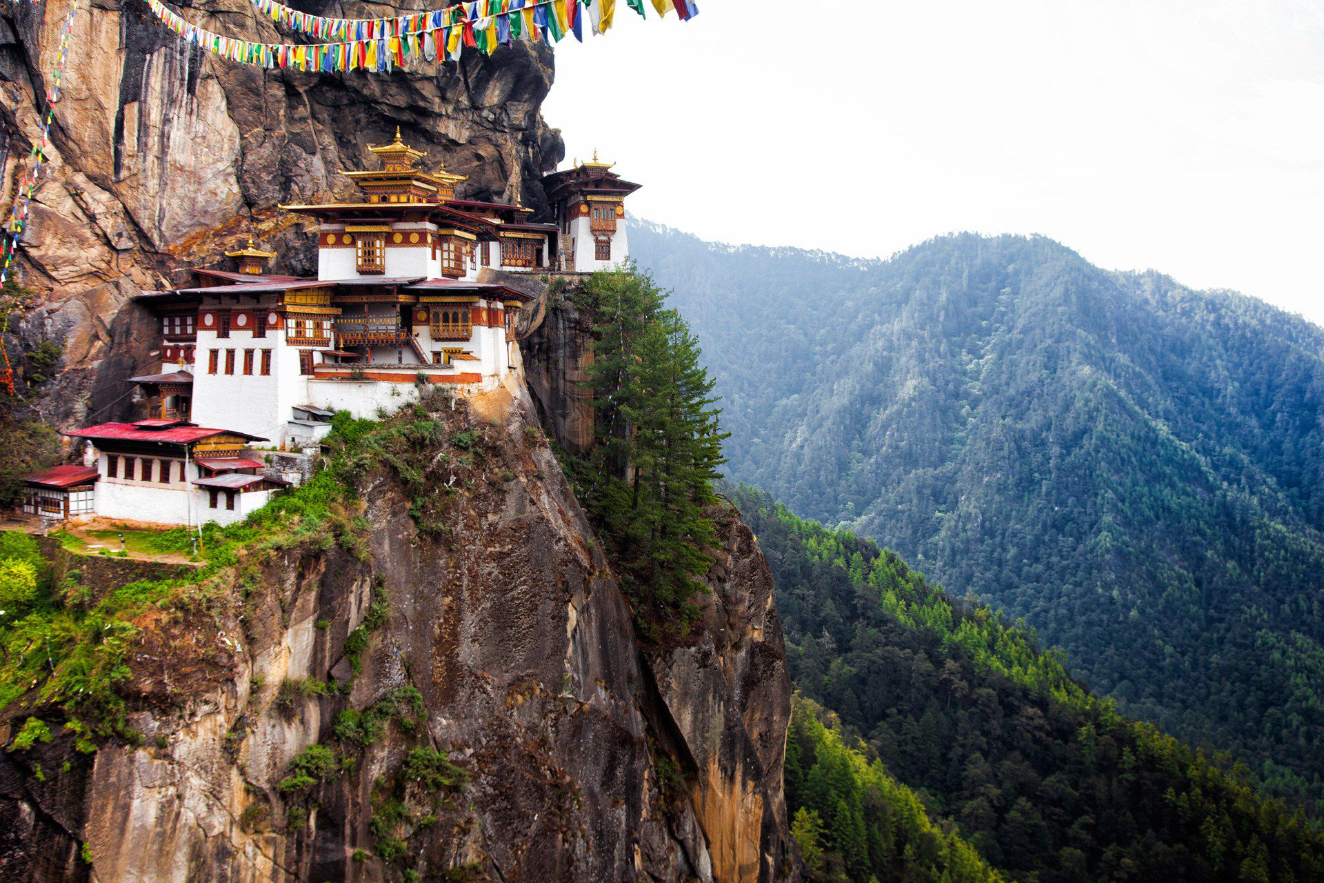 معلومات عن مملكة بوتان