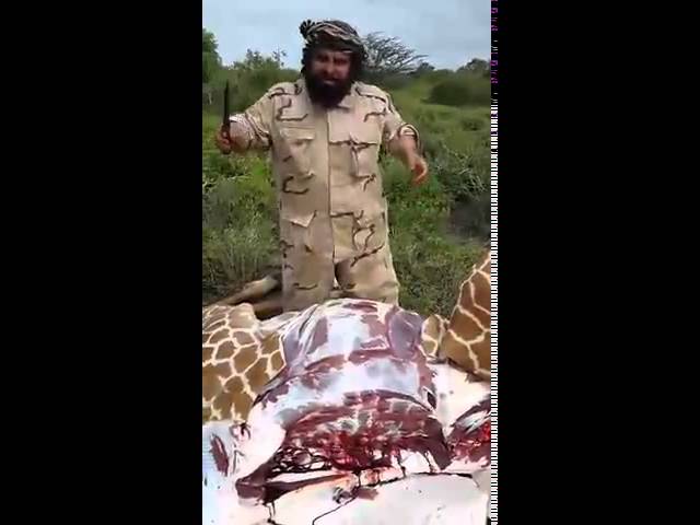 مواطن يذبح زرافة أثناء رحلة صيد بافريقيا