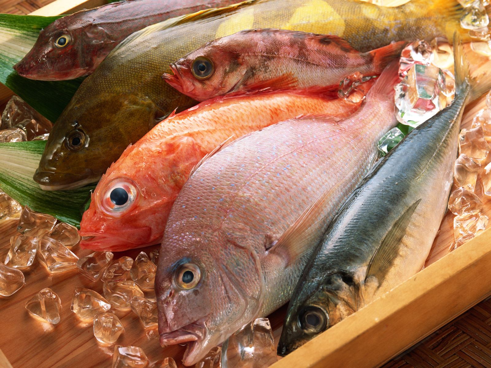 نسب الفيتامينات المختلفة الموجودة في الاسماك
