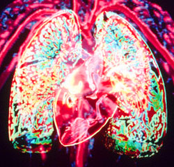 نصائح للحفاظ على صحة الجهاز التنفسي