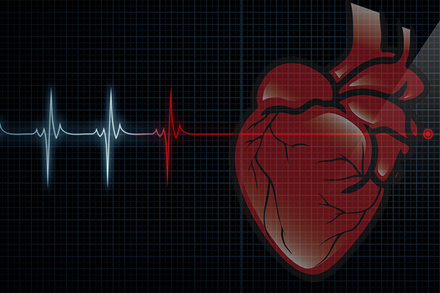أسباب الموت المفاجئ لمرضى القلب