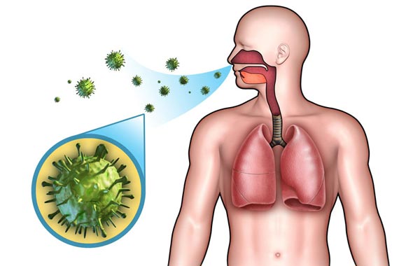 أهم عشرة أعشاب لامراض الجهاز التنفسي