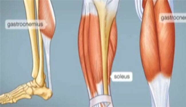 اسباب التشنجات العضلية ” الشد العضلي “