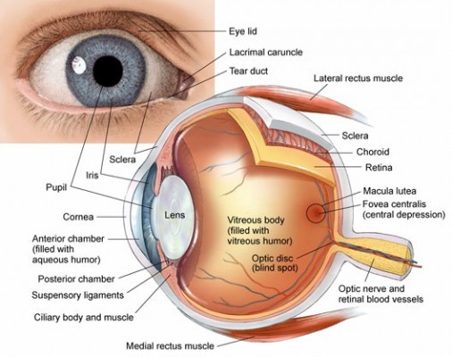 اسباب وعلاج مشاكل العيون عند مرضى السكر