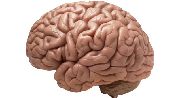 اعراض ضيق الشرايين في المخ