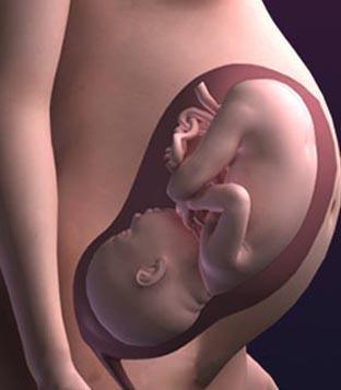 الحصبة الألمانية في فترة الحمل