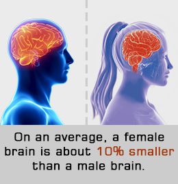 الفرق بين دماغ الذكور ودماغ الإناث