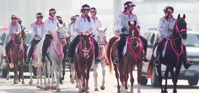 القافلة الوردية لمكافحة سرطان الثدي في الإمارات