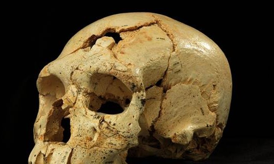 شاهد أقدم جريمة قتل عمرها 430 عام