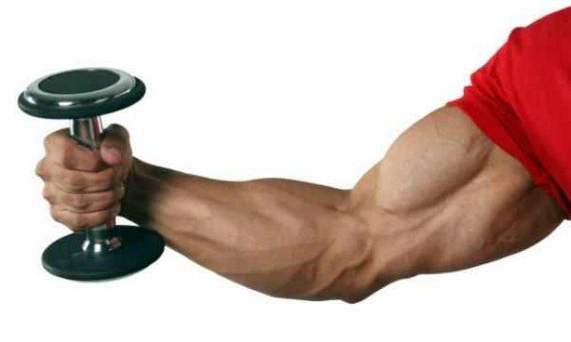 طرق تقوية العضلات