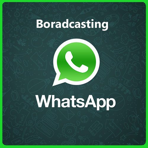 طريقة ارسال رسالة جماعية على الواتس اب WhatsApp