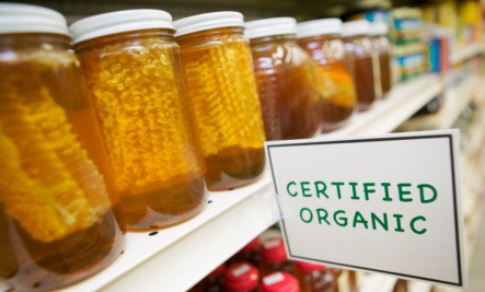 فوائد عسل المجرى “العسل الابيض”