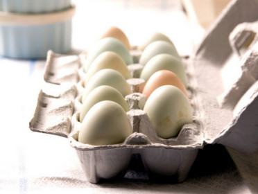 كم بيضة يجب ان نأكل في الاسبوع ؟