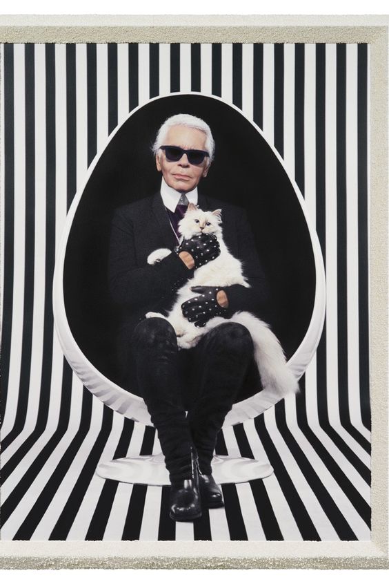 مصمم الأزياء الشهير كارل لاغرفيلد ( Karl Lagerfeld )