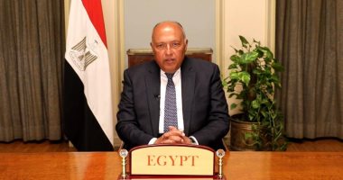 مصر تجدد دعمها الكامل للمؤسسات الليبية وتدعو لدعم الحل الليبى - الليبى
