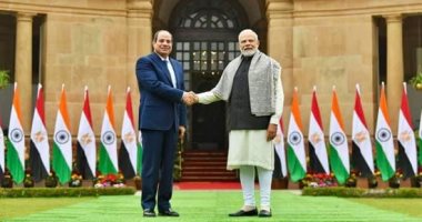 صحيفة هندية: دعوة مصر للمشاركة بقمة العشرين تؤكد عمق العلاقة الاستراتيجية