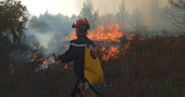 إسبانيا تعلن تينيريفى منطقة "كوارث" بسبب حريق قضى على 15 ألف هكتار