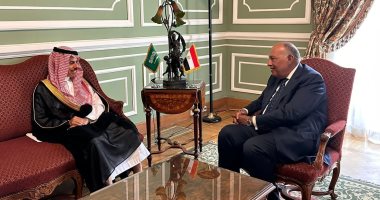 وزيرا خارجية مصر والسعودية يؤكدان ضرورة الدفع بأطر العمل العربى المشترك