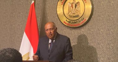 شكرى يكشف لـ"اليوم السابع" ملامح خطة عمل دول جوار السودان لمعالجة الأزمة