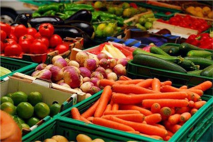 البامية بـ 30 جنيهًا.. أسعار الخضروات والفاكهة اليوم الأربعاء 16 - 8 - 2023