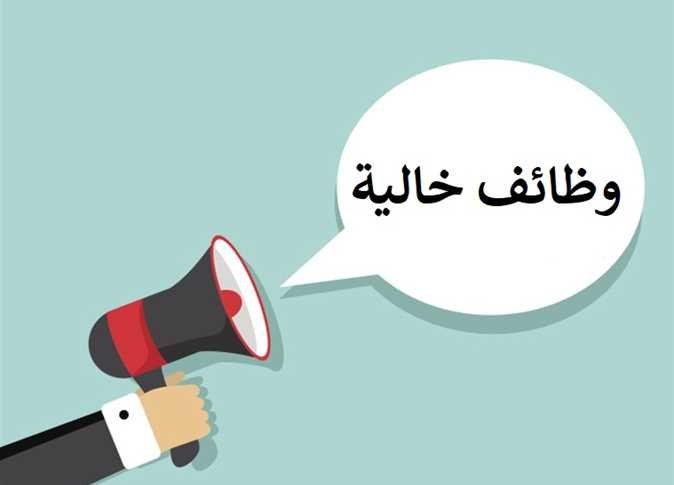 وظائف حكومية خالية في شمال سيناء.. موعد التقديم والأوراق المطلوبة