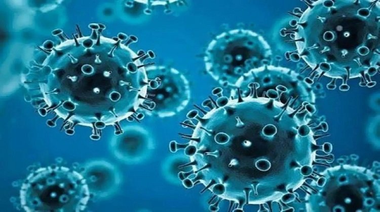 «مكافحة الفيروسات» تكشف حقيقة وصول متحور كورونا الجديد «EG.5» إلى مصر.. «فيديو»