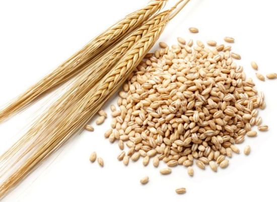 القيمة الغذائية للقمح والشعير