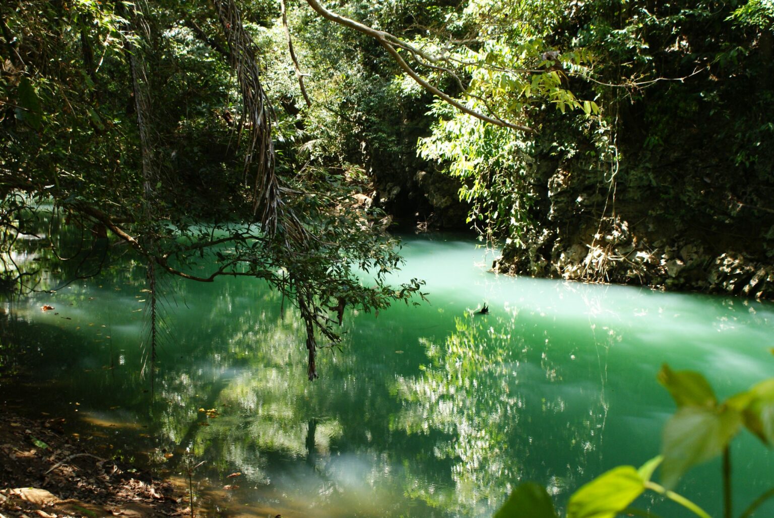 النهر الأخضر