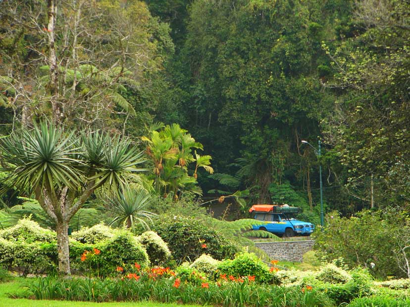 حديقة النباتات تشيبوداس في اندونسيا