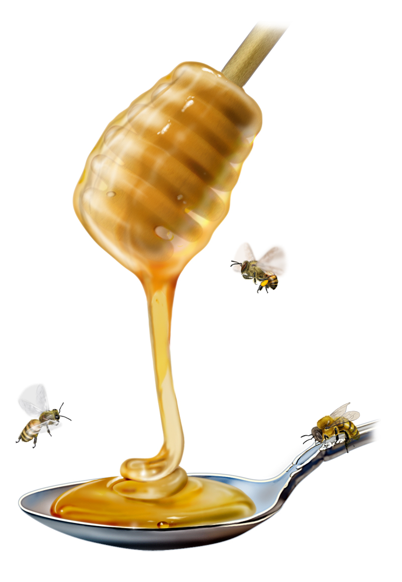 خلطات العسل لعلاج الشعر