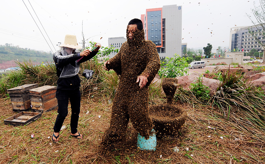 رجل صيني يظهر والنحل يتجمع على جسده